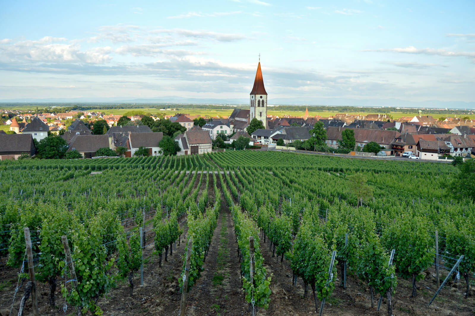 Domaine Freyburger - Vins d’Alsace Bio - Ammerschwihr - Oenotourisme Alsace Colmar